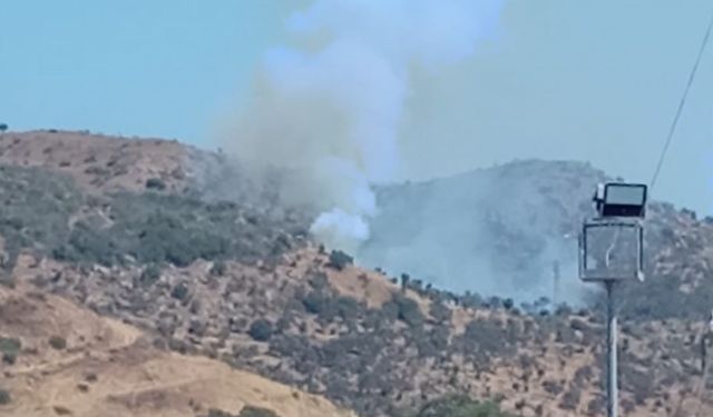 Milas Ören’de arazide çıkan yangın söndürüldü!