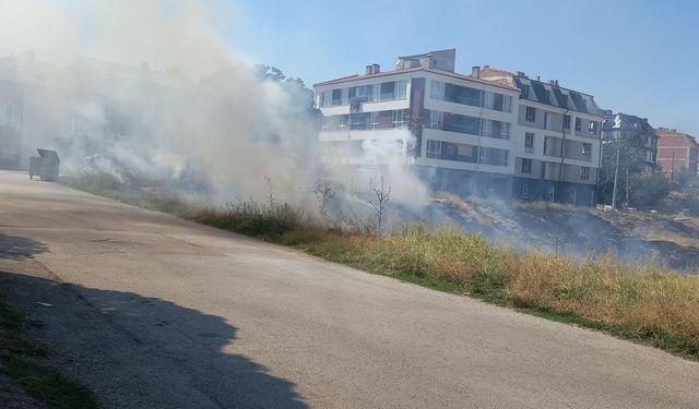 Ot yangını büyümeden söndürüldü!