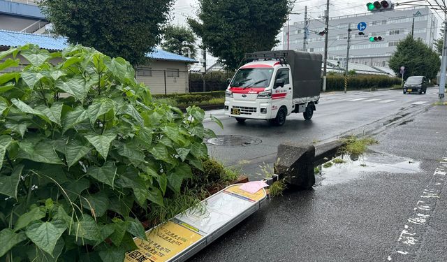 Japonya'da Ampil Tayfunu kabusu!