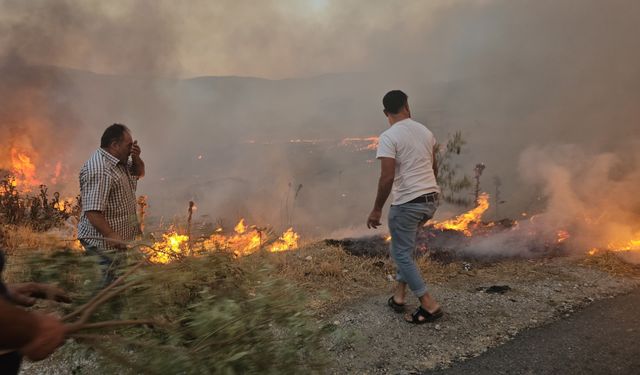 İzmir'in Tire ve Bayındır ilçelerinde orman yangını