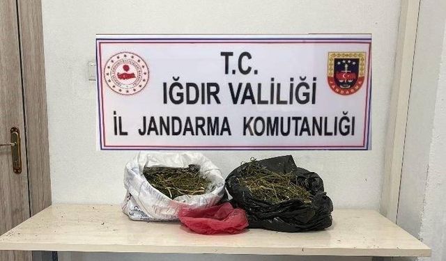 Iğdır'da 22,5 kilogram kubar esrar ele geçirildi