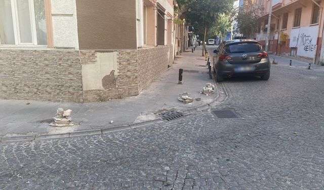 Eskişehir'de mahalleli duba sorununu kendisi çözdü!