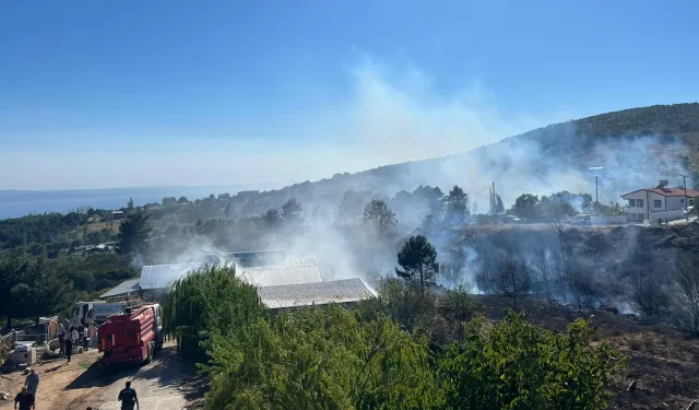 Yalova'da orman yangını kontrol altında