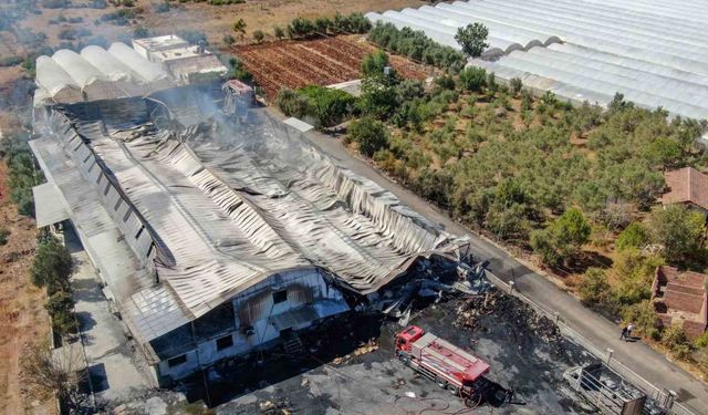 Antalya’da karton fabrikası kül oldu, maddi hasar 100 milyon TL