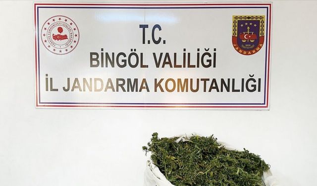 Bingöl’de 12 kilo esrar ele geçirildi: 1 gözaltı