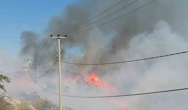 Bodrum’da korkutan yangın