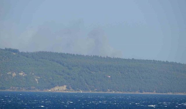 Çanakkale’de orman yangını