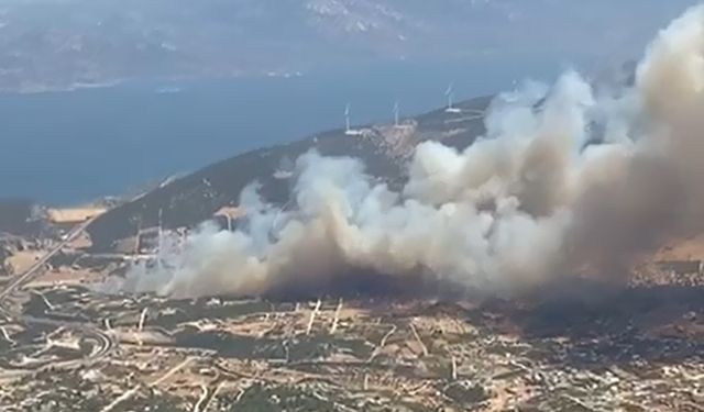 Didim’de makilik alanda yangın