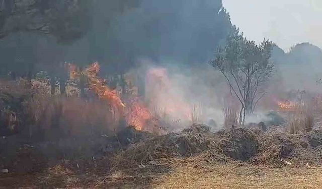 Otluk alanda çıkan yangın ormana ulaşmadan söndürüldü