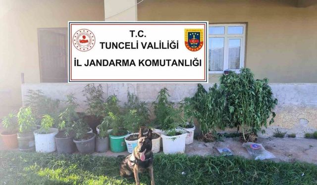 Uyuşturucu operasyonu: 2 tutuklama