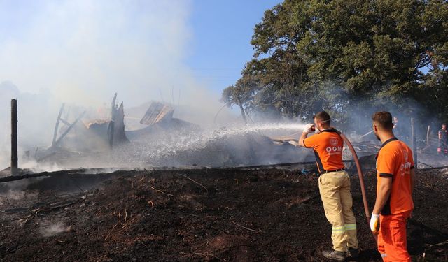 Sakarya'da korkutan yangın