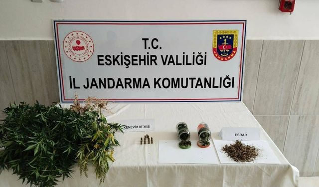 Jandarmadan uyuşturucu operasyonu