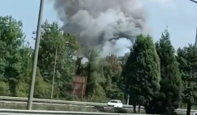 Sakarya'da makarna fabrikasında patlama!