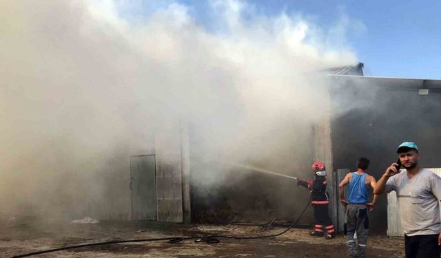 2 ahır ve 2 samanlık alevlere teslim oldu: 1 yaralı