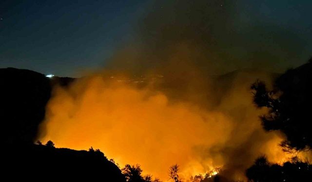 Hatay’da orman yangını