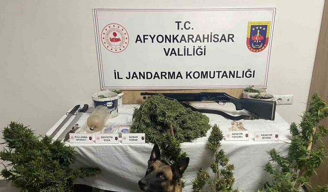 Jandarmadan uyuşturucu operasyonu:6 gözaltı