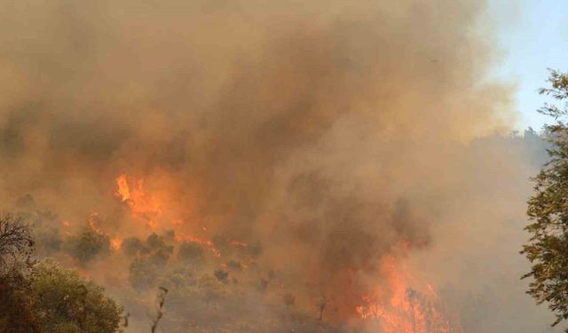 Muğla’daki yangın yolu kapattı