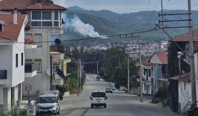 Yıldırım kaynaklı orman yangını