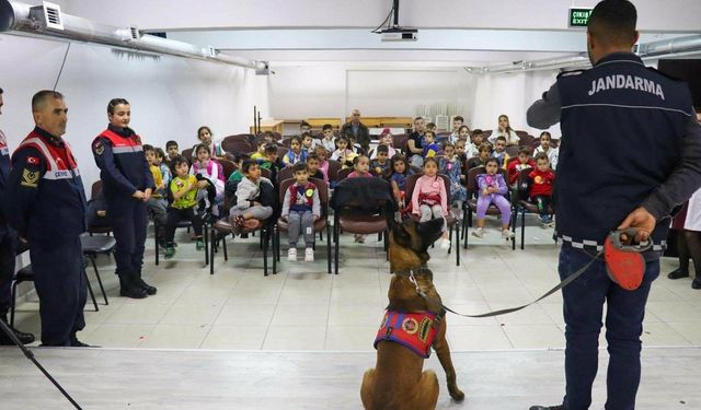 Hayvanları koruma günüyle ilgili etkinlik gerçekleştirdi