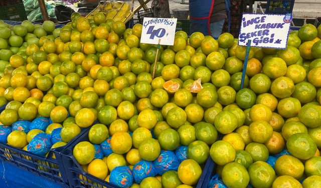 Mandalinalar pazar tezgahlarındaki yerini aldı