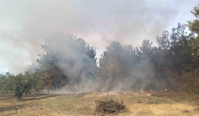 Bursa’da korkutan orman yangını