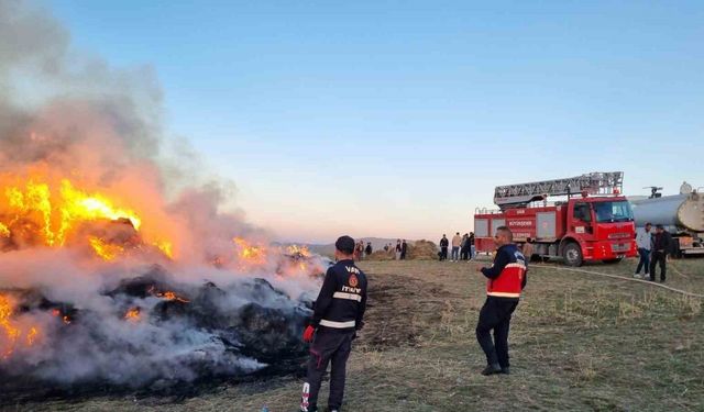 Korkunç yangında  9 bin bağ ot yandı