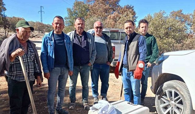 Yaralı halde bulunan hayvanlar koruma altına alındı