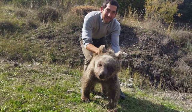 Yaralı yavru ayı kurtarıldı