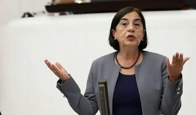 CHP Milletvekili Süllü'den 'orman ihalesi' tepkisi