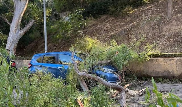 KKTC'de fırtınada ağaçlar devrildi, çatılar uçtu