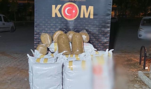 655 kilo kaçak tütün ele geçrildi