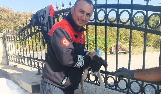 Demir parmaklıklara kafası sıkışan köpeği itfaiye kurtardı