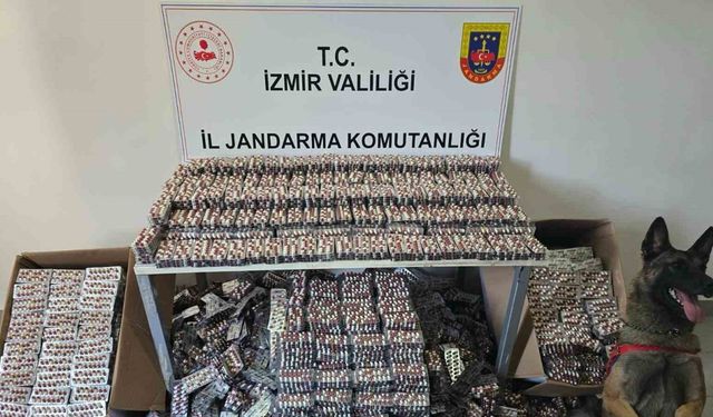 İzmir’de jandarmadan operasyon