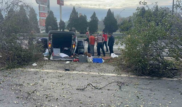 Otoyolda kontrolden çıkan araç 3 ağacı biçti: 2 yaralı