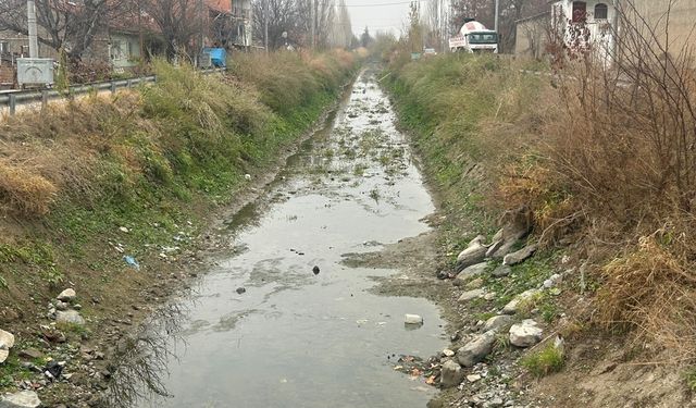 Eskişehir'in bu bölgesi çöplükten geçilmiyor!