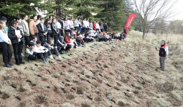 Okul arazisine lavanta, biberiye, kekik ve adaçayı fidanları diktiler