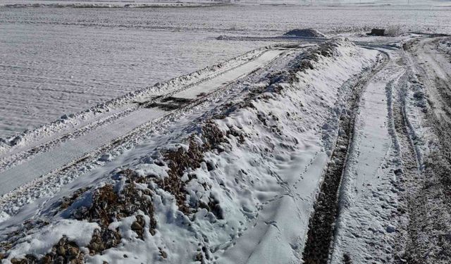 60 bin ton şeker pancarı kar altında kaldı