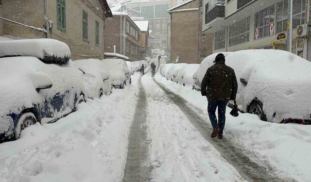 Artvin’de kar esareti