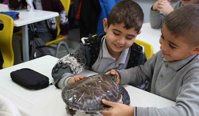 Çocuklar deniz canlılarını öğreniyor