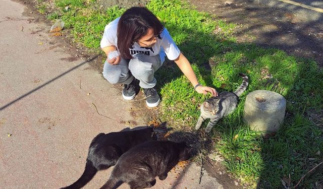 Öğrenciler sokak hayvanları için mama dağıttı