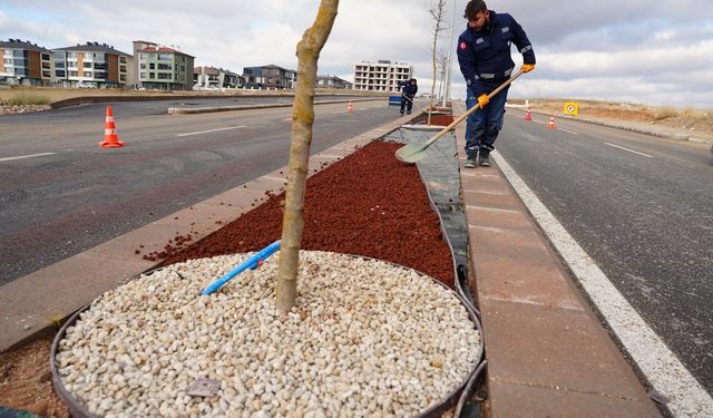 Eskişehir'de kuru peyzaj çalışması gerçekleştirildi