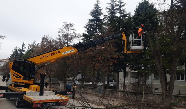 Ağaç bakımları sürüyor