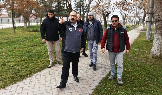 İnönü'deki parka yeni kamelyalar geliyor