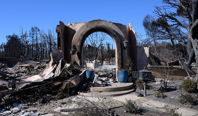 Orman yangınlarında ölü sayısı 25'e yükseldi