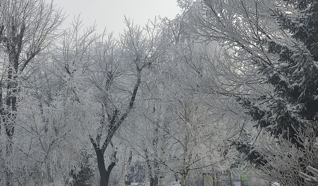 Sibirya soğukları: Gölet eksi 19