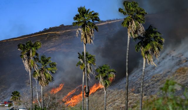 California’da çıkan yeni yangın kontrol altına alındı!