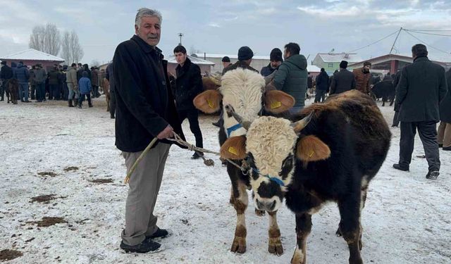 Dondurucu soğuk çileye dönüştü