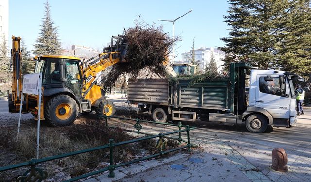 Eskişehir'deki ağaçlar budanıyor