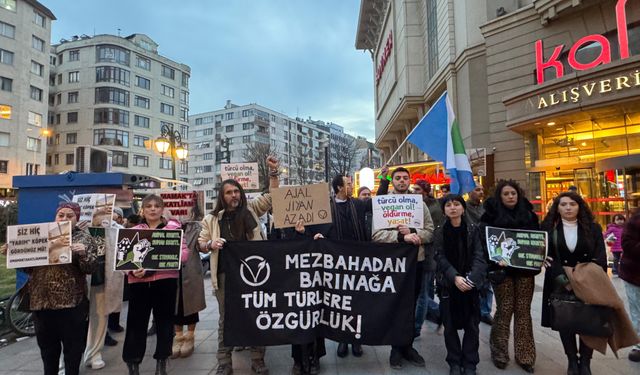 Eskişehir'de hayvansevrler çağrıda bulundu