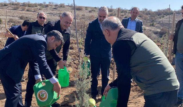 Tıbbiyeli Hikmet anısına binlerce fidan dikildi